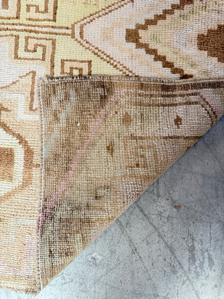 Anatolian Runner 3.1x9.7