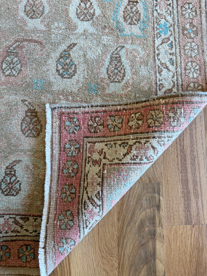 Sarab Runner 3.0x9.1