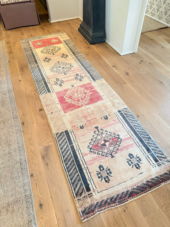 Anatolian Runner 2.7x9.4