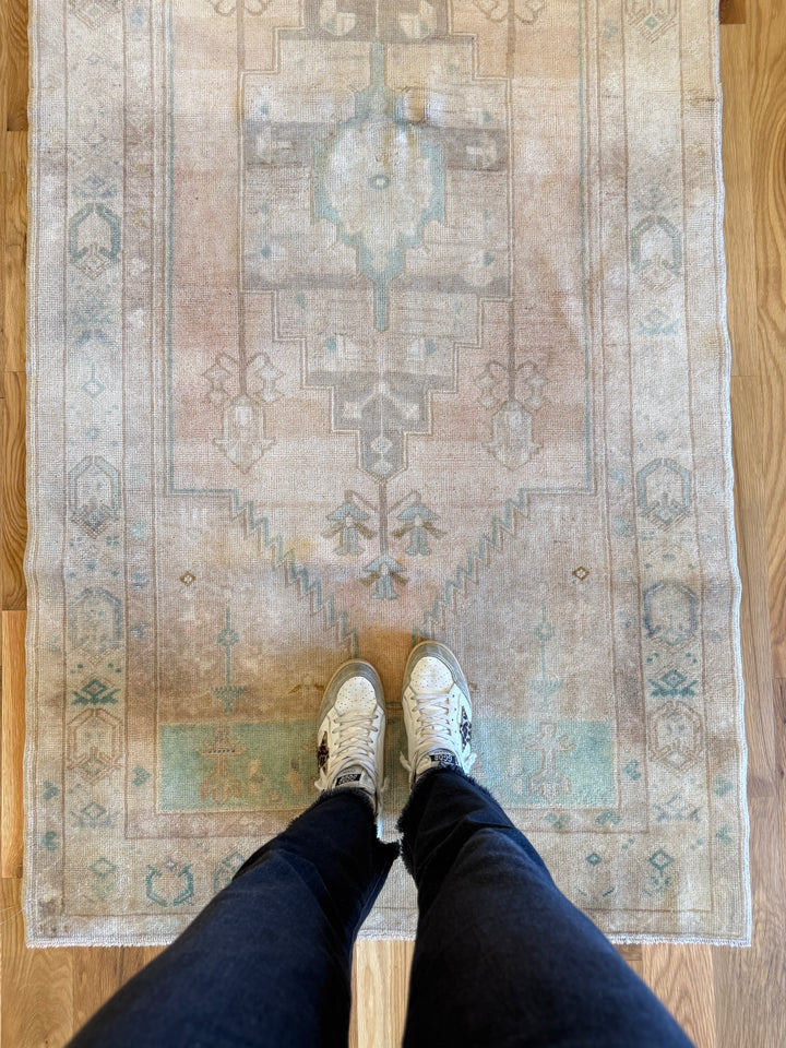Anatolian Runner 3.5x7.3 - LillieKat Rugs
