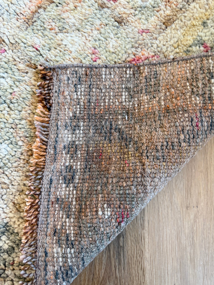 Anatolian Runner 2.8x14.1