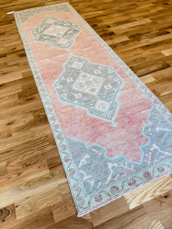 Anatolian Runner 3.4x10.11 - LillieKat Rugs