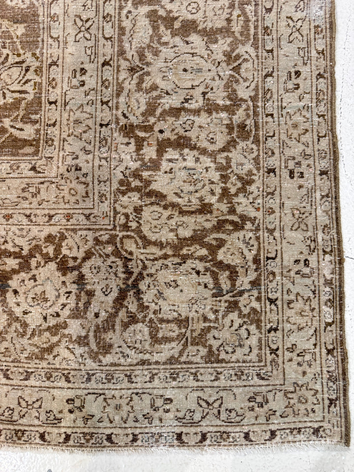 Kashan (Persian) 10.0x12.10 - LillieKat Rugs