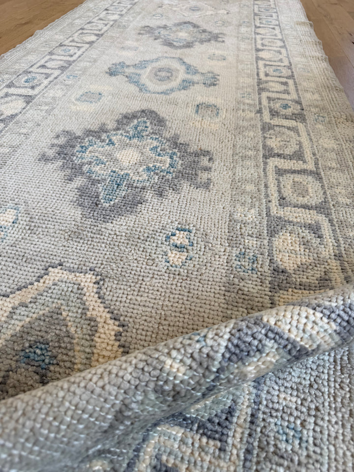 Oushak Runner 3.0x15.1 - LillieKat Rugs