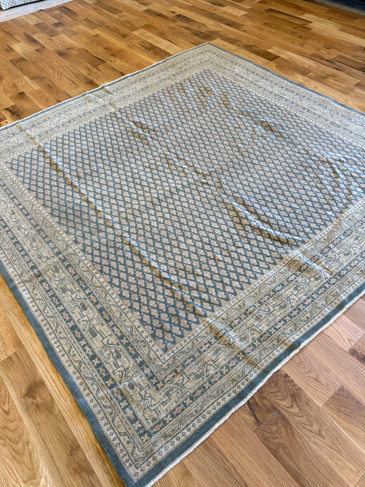 Mir (Persian) 6.5x6.7