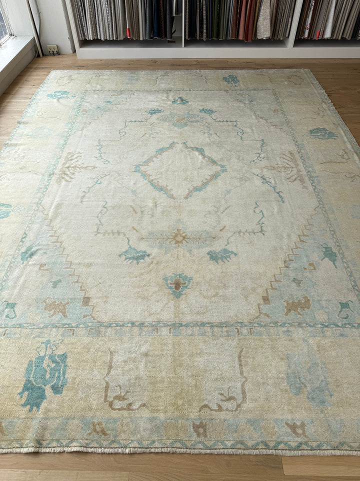 Anatolian 9.1x11.9 - LillieKat Rugs