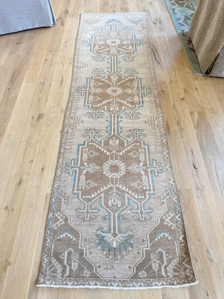 Anatolian Runner 2.7x9.4