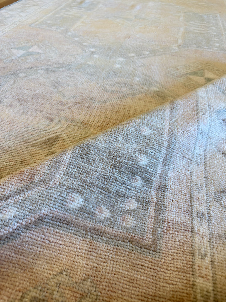 Anatolian Runner 3.8x9.7 - LillieKat Rugs