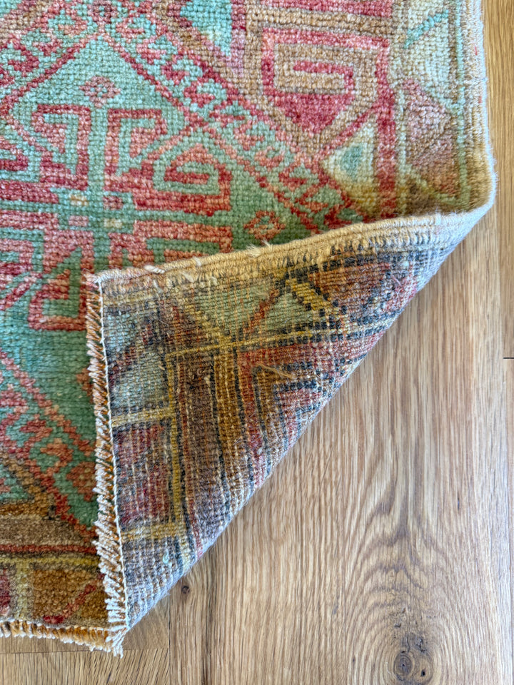 Yastik 1.7x3.2 - LillieKat Rugs
