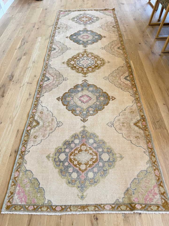 Anatolian Runner 3.9x11.7 - LillieKat Rugs