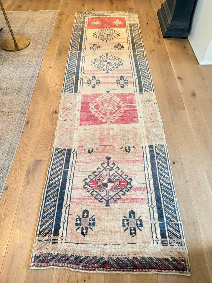 Anatolian Runner 2.7x9.4