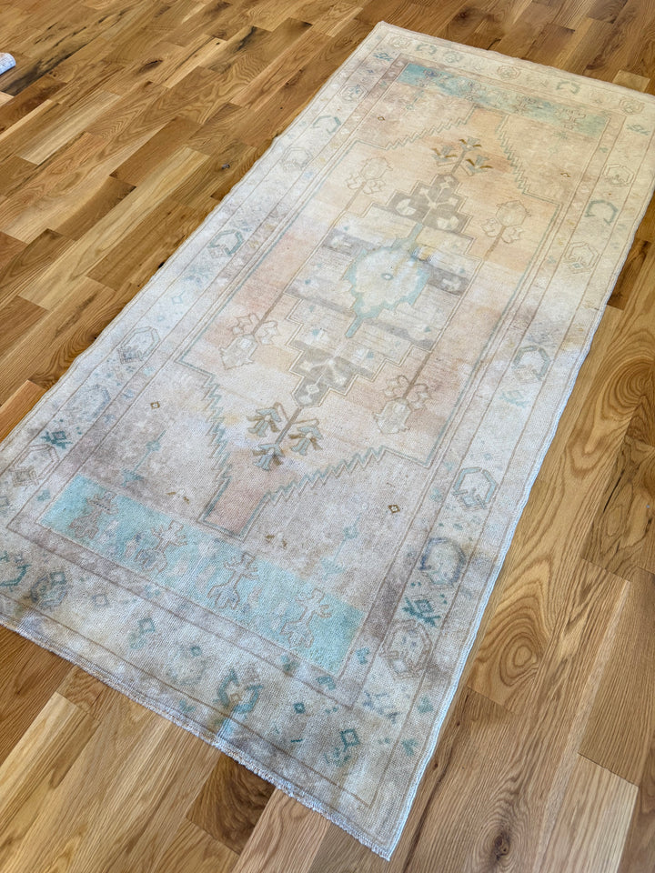 Anatolian Runner 3.5x7.3 - LillieKat Rugs