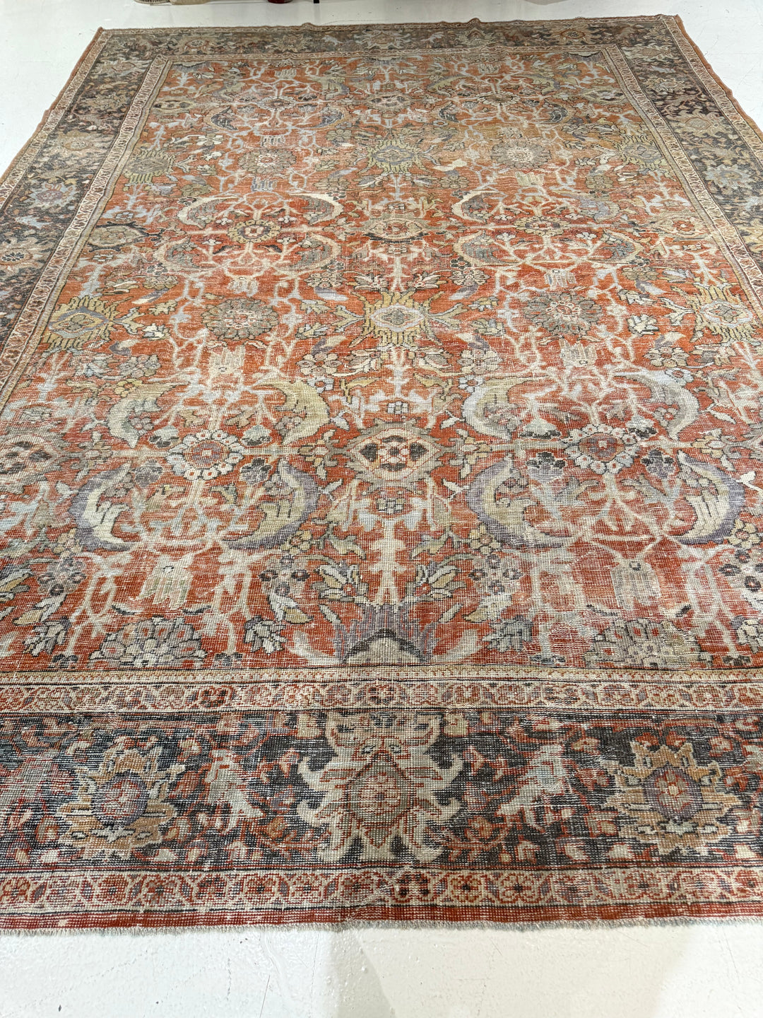 Persian 9.8x13.6