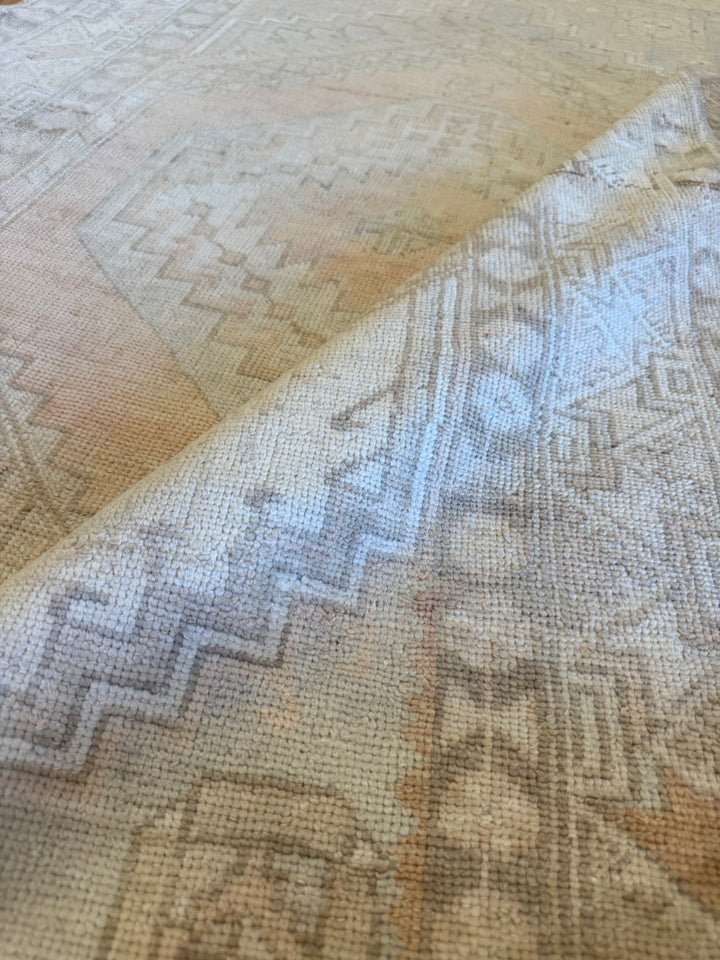 Anatolian 3.8x5.9 - LillieKat Rugs