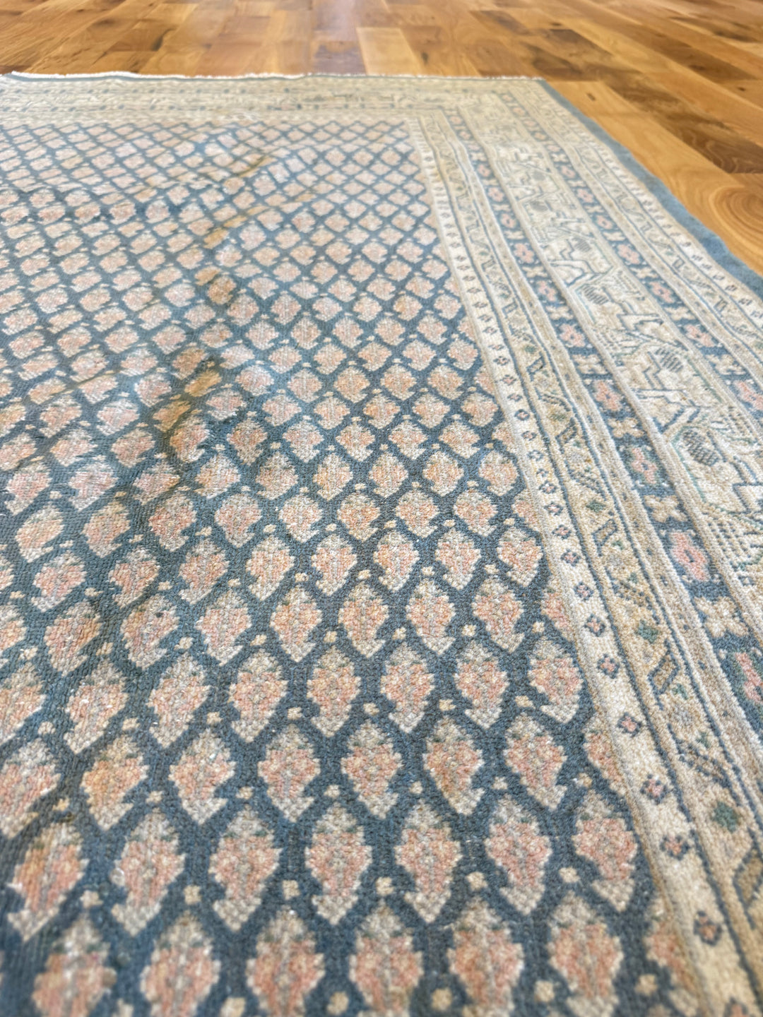 Mir (Persian) 6.5x6.7
