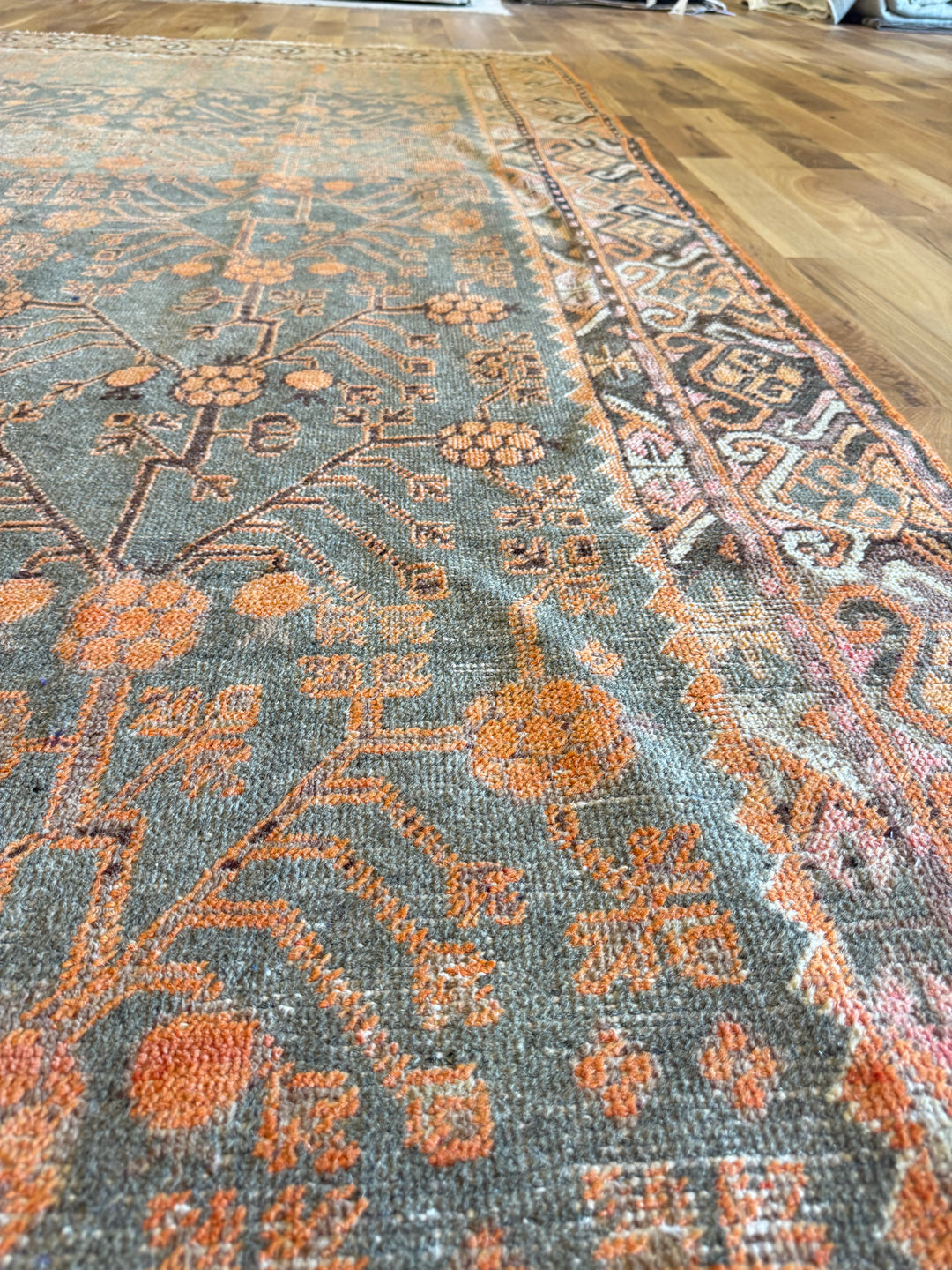 Khotan Gallery Runner 5.9x11.0