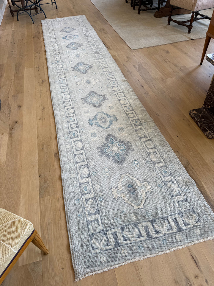 Oushak Runner 3.0x15.1 - LillieKat Rugs