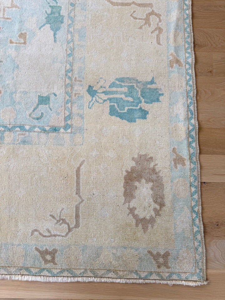 Anatolian 9.1x11.9 - LillieKat Rugs