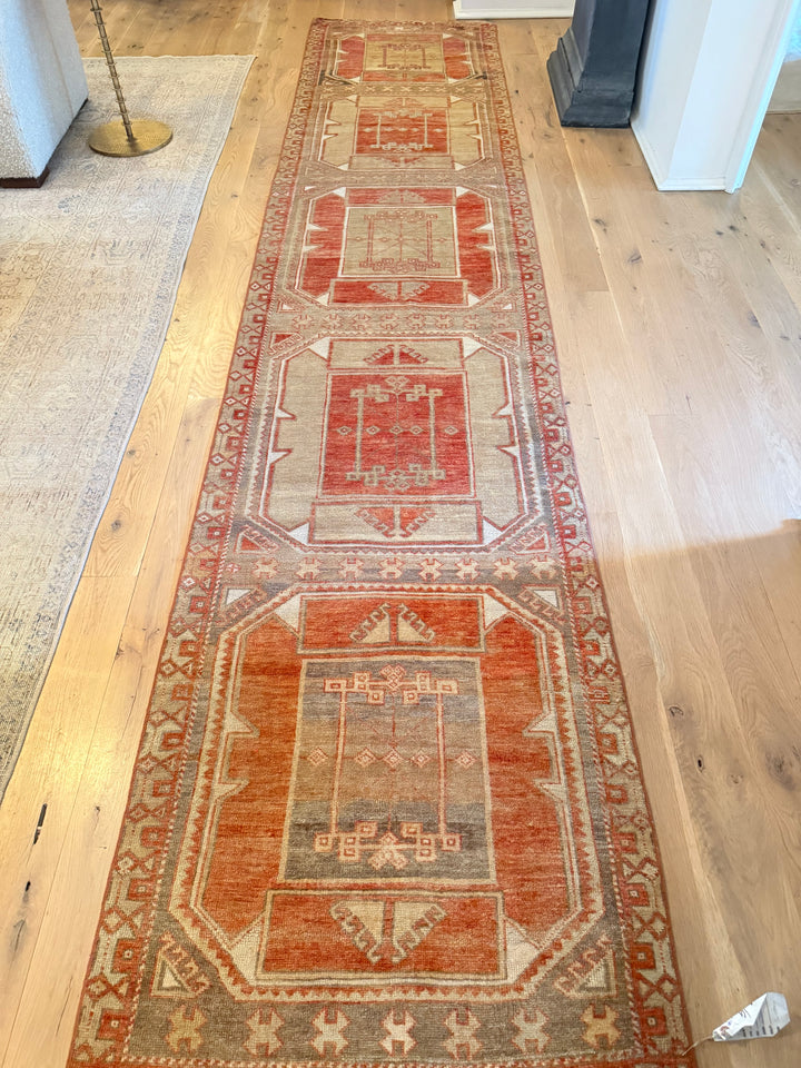 Anatolian Runner 2.9x13.0