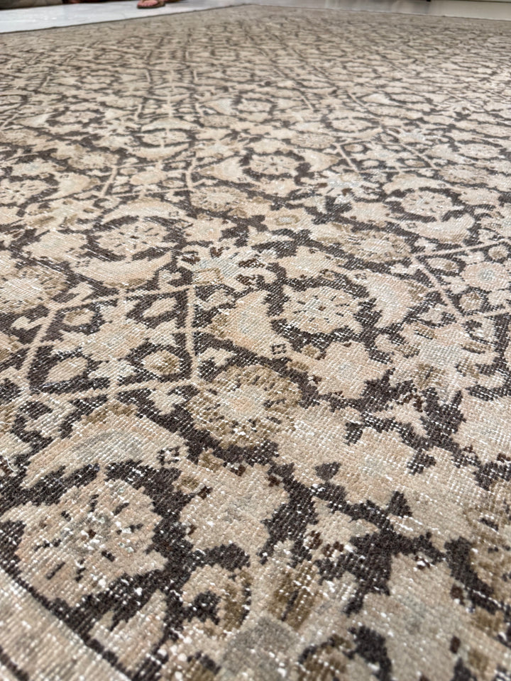 Malayer 10.3x13.5