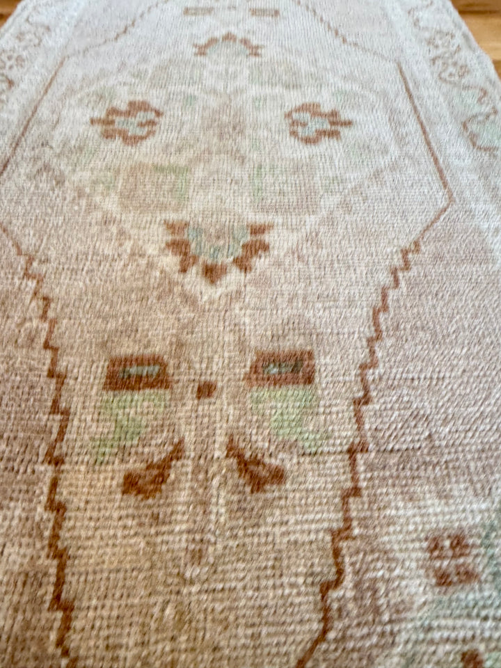 Yastik 1.7x3.9 - LillieKat Rugs