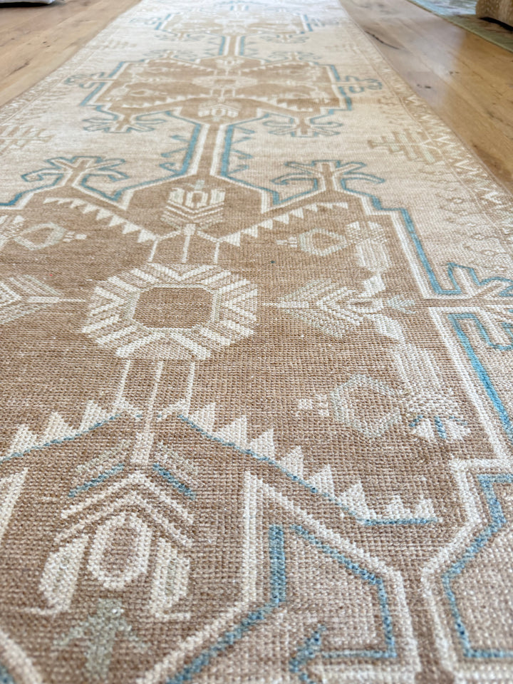 Anatolian Runner 2.7x9.4