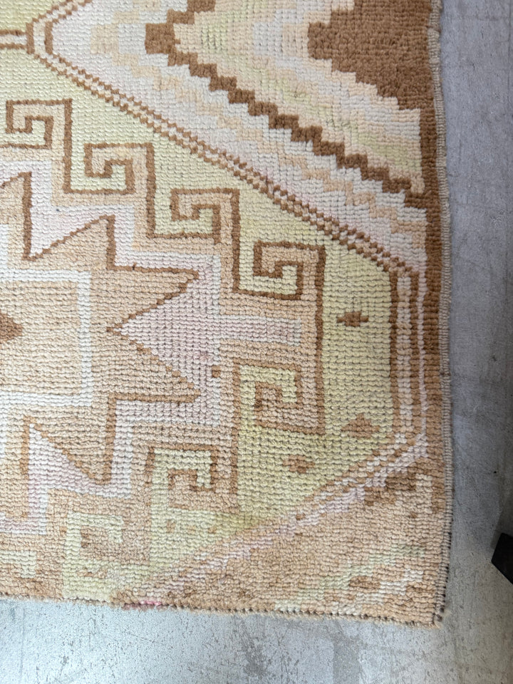 Anatolian Runner 3.1x9.7