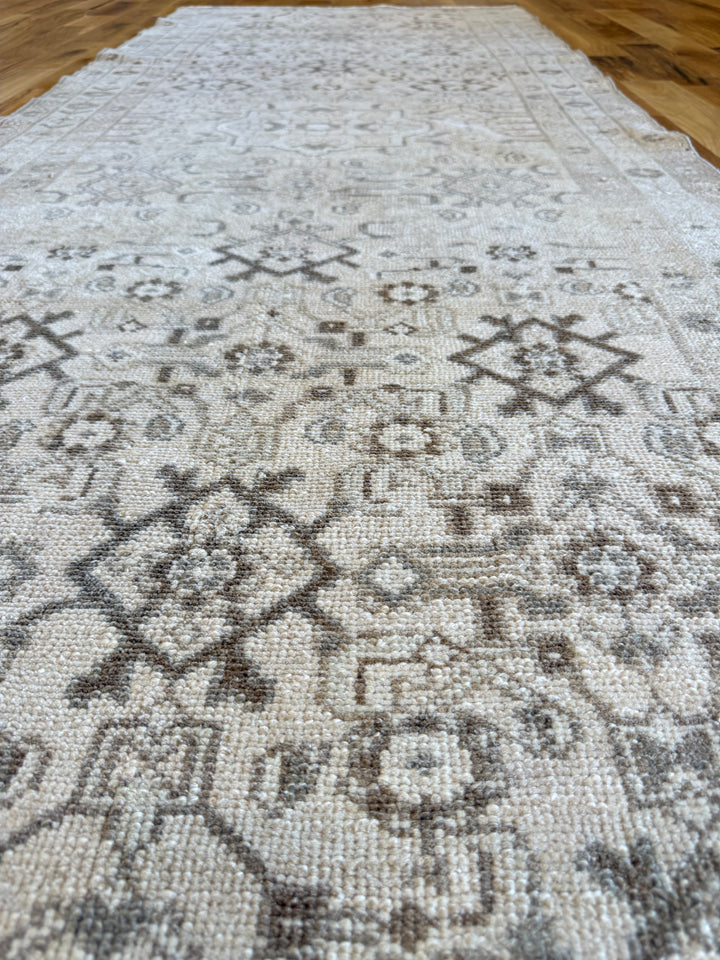 Malayer (Hamadan) Runner 3.5x9.10