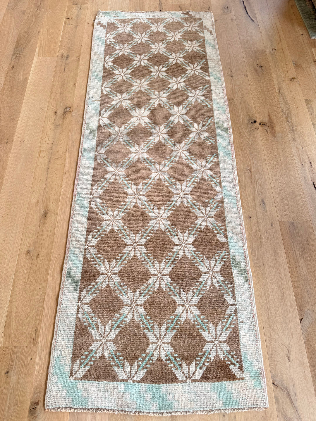 Anatolian Runner 2.4x6.8