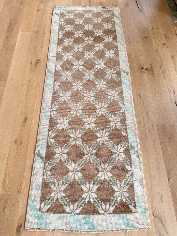Anatolian Runner 2.4x6.8