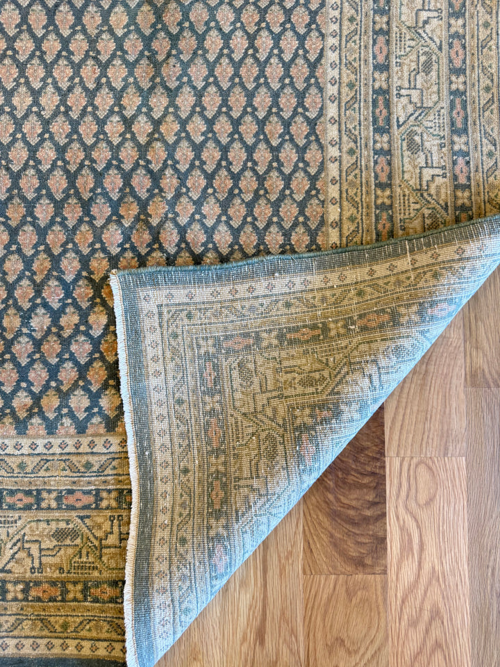 Mir (Persian) 6.5x6.7