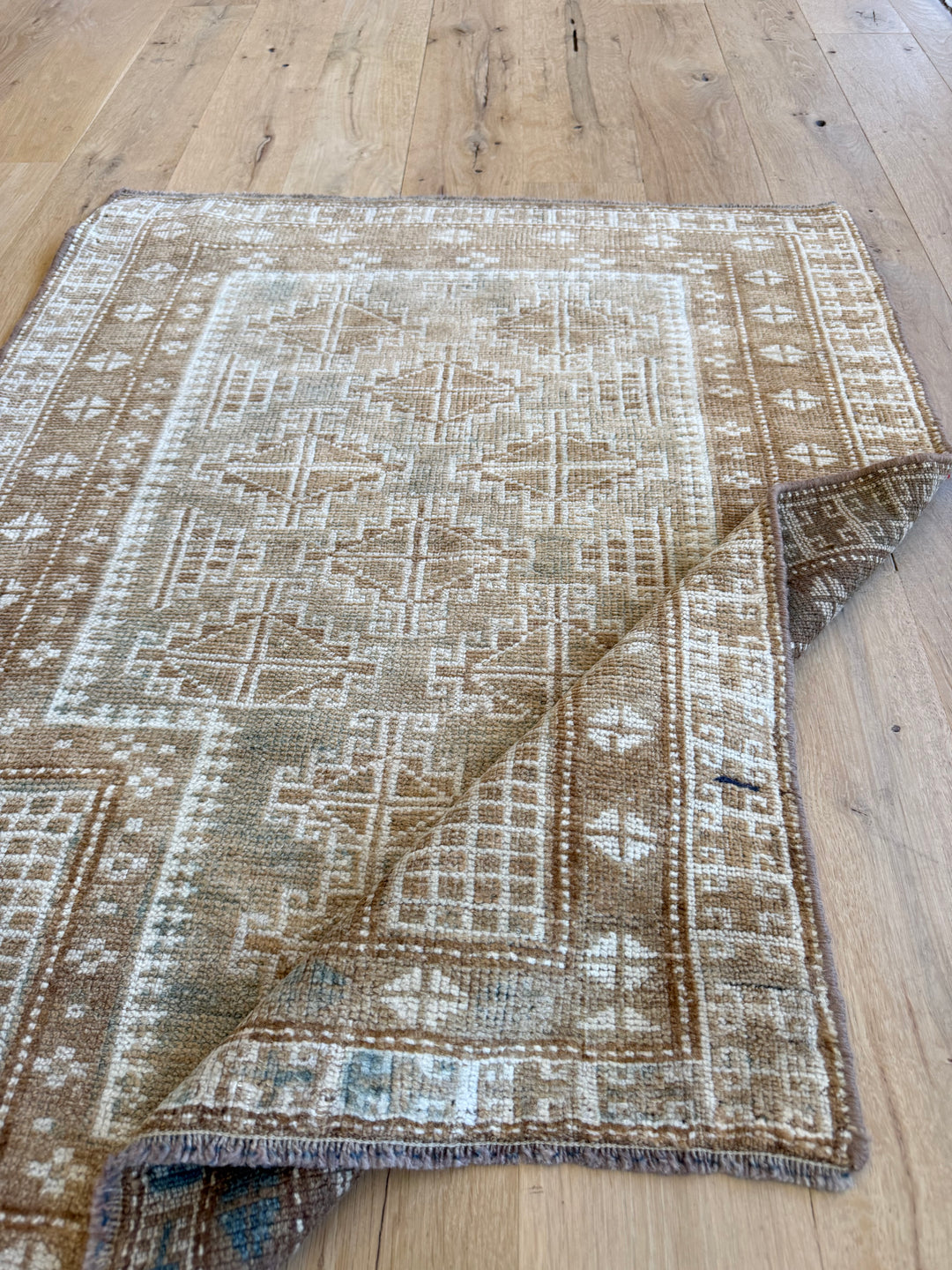 Beluch 2.7x3.3 - LillieKat Rugs