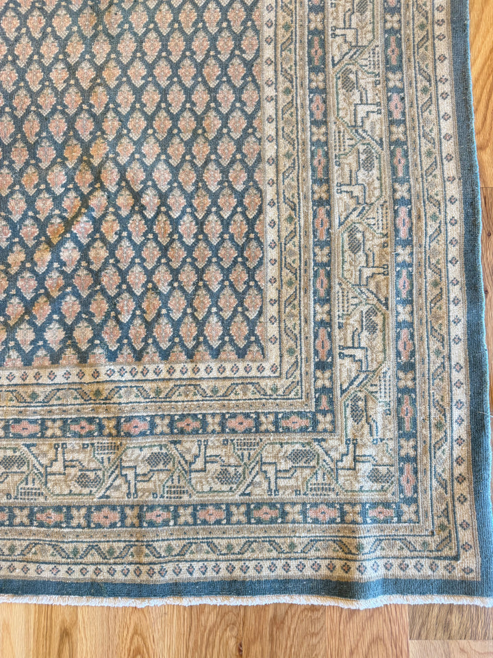 Mir (Persian) 6.5x6.7
