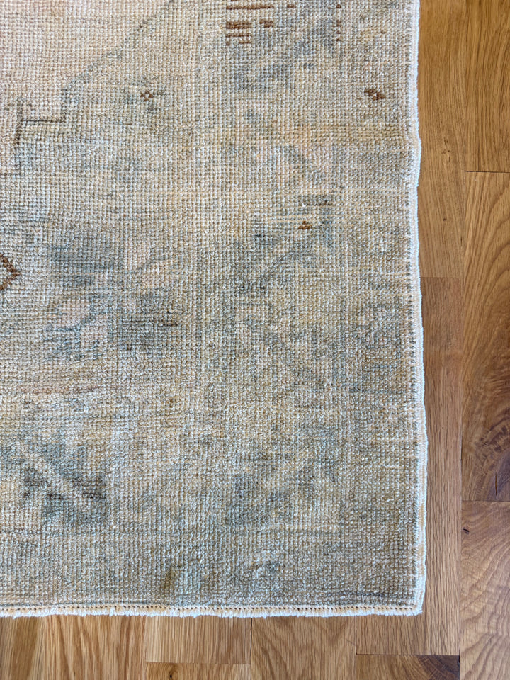 Anatolian 3.10x5.8 - LillieKat Rugs