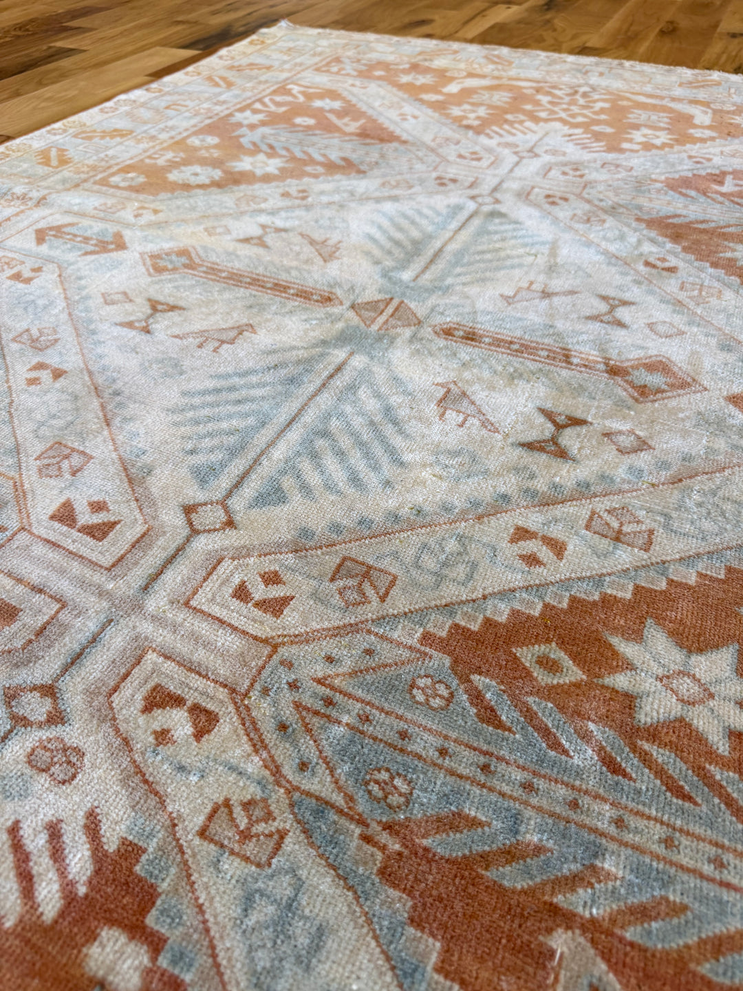 Caucasian (Persian) 4.4x5.9