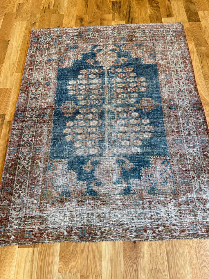 Shiraz 4.0x5.2
