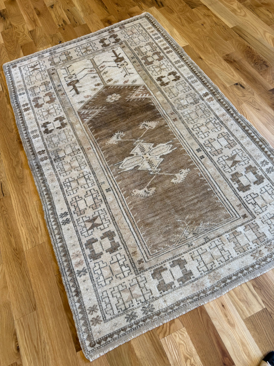 Anatolian 3.8x6.1