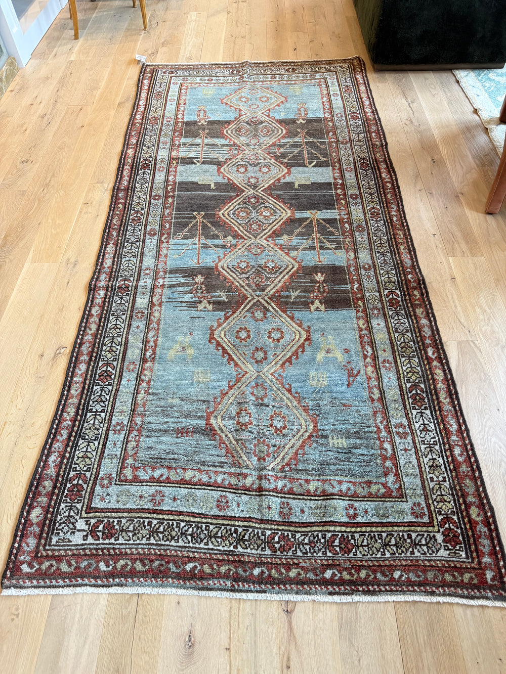 Hamadan Runner 3.11x9.0 - LillieKat Rugs