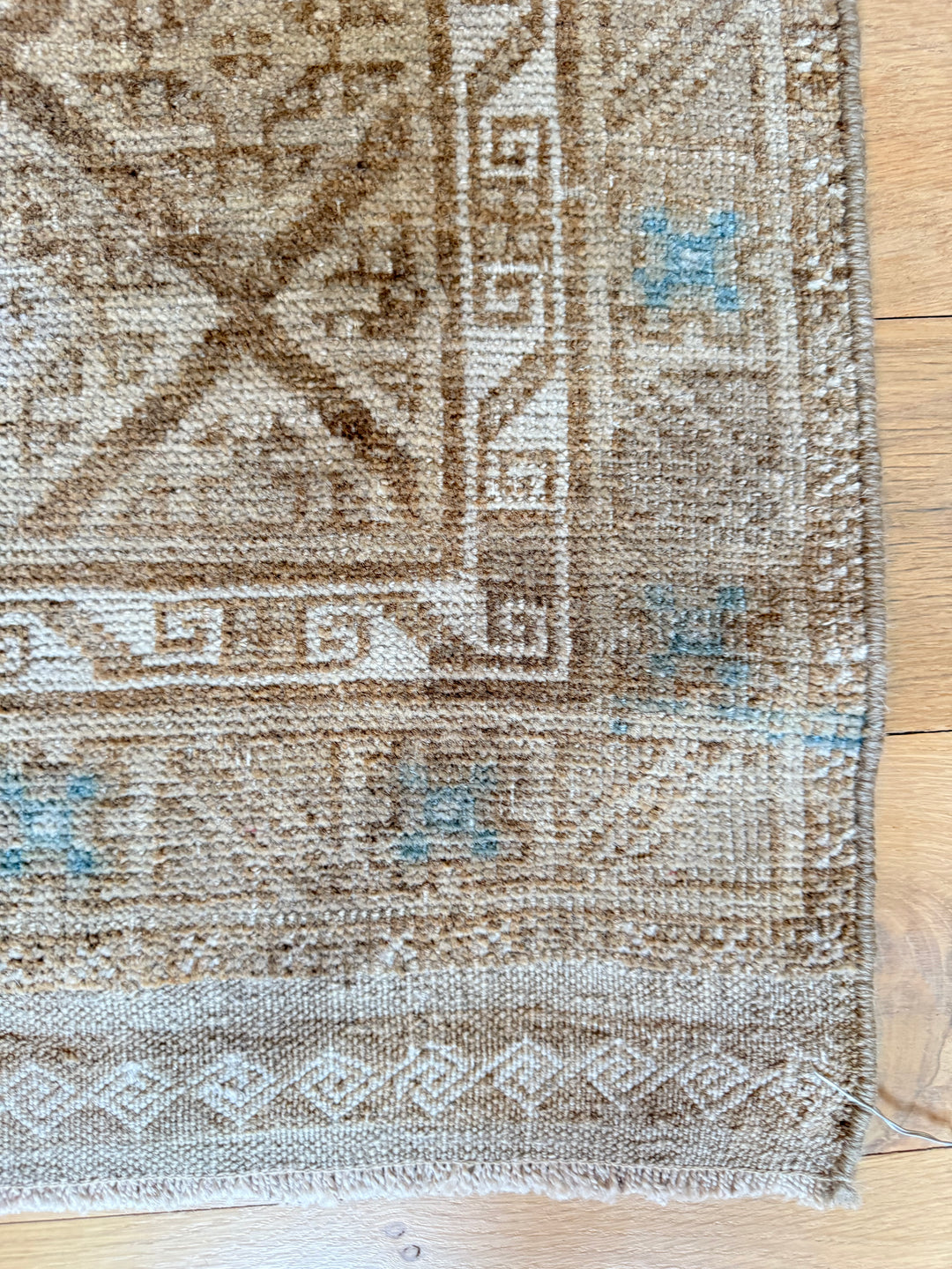 Beluch 2.8x4.5