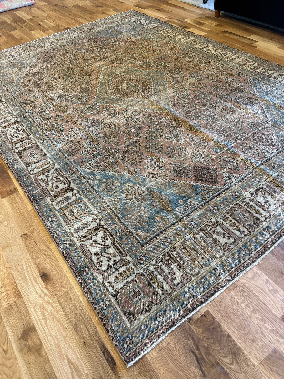 Joshegan (Persian) 7.10x10.0