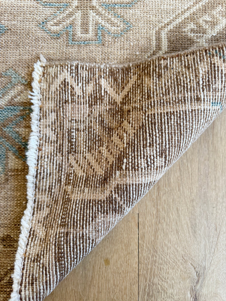 Anatolian Runner 2.7x9.4