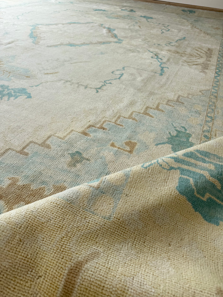 Anatolian 9.1x11.9 - LillieKat Rugs