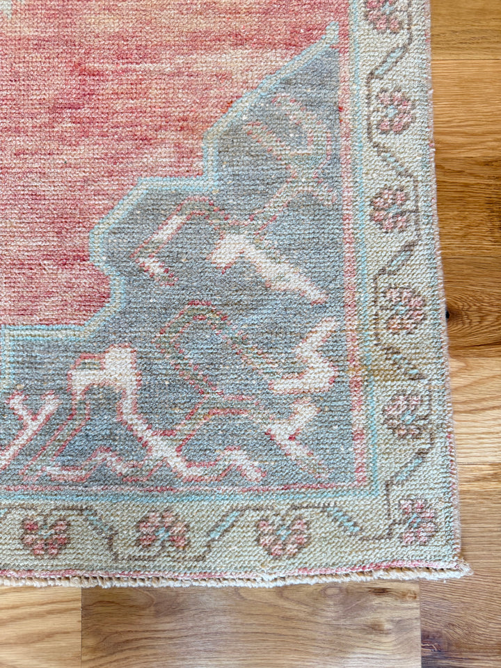 Anatolian Runner 3.4x10.11 - LillieKat Rugs