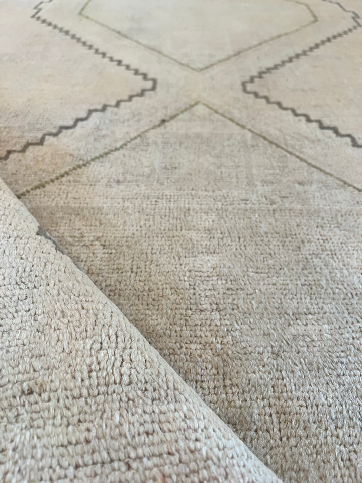 Anatolian Runner 3.6x10.3