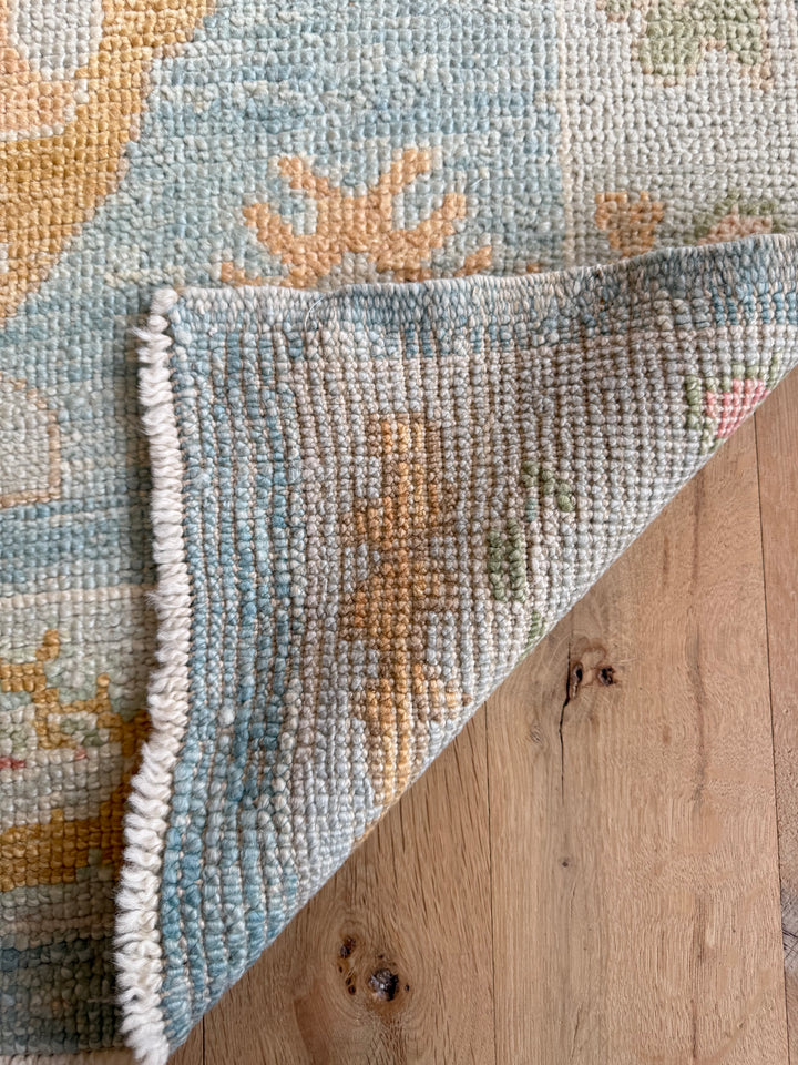 Oushak Runner 3.1x10.7