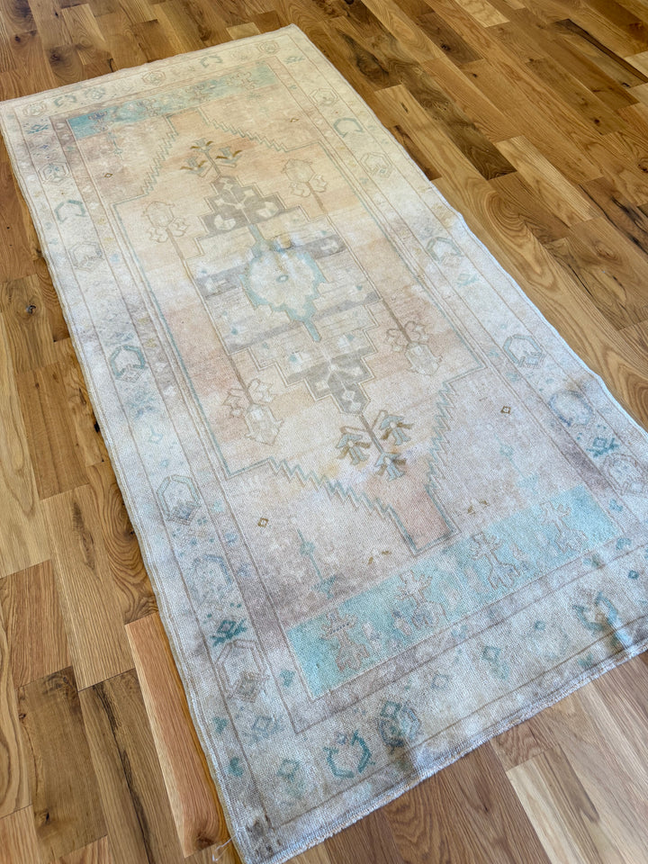 Anatolian Runner 3.5x7.3 - LillieKat Rugs