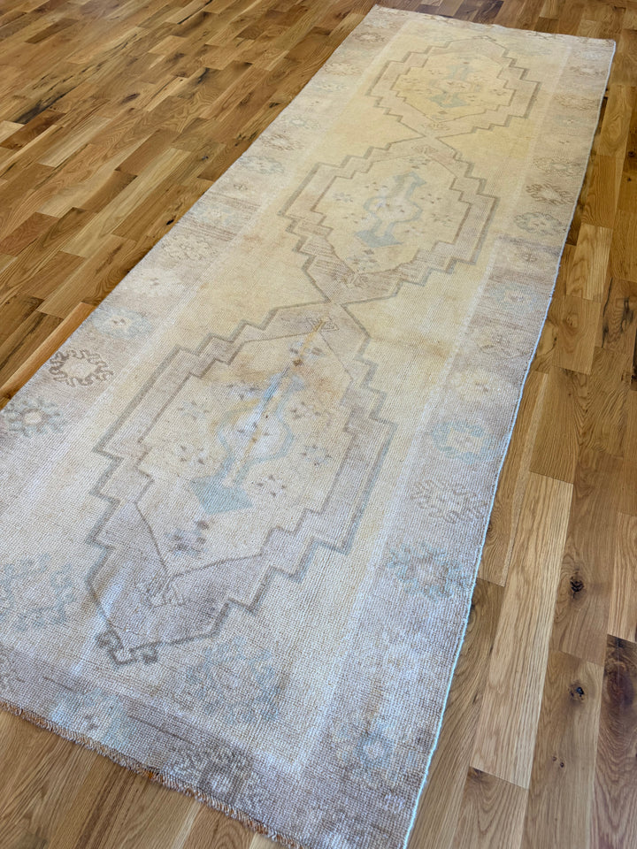 Anatolian Gallery Runner 4.0x11.5 - LillieKat Rugs