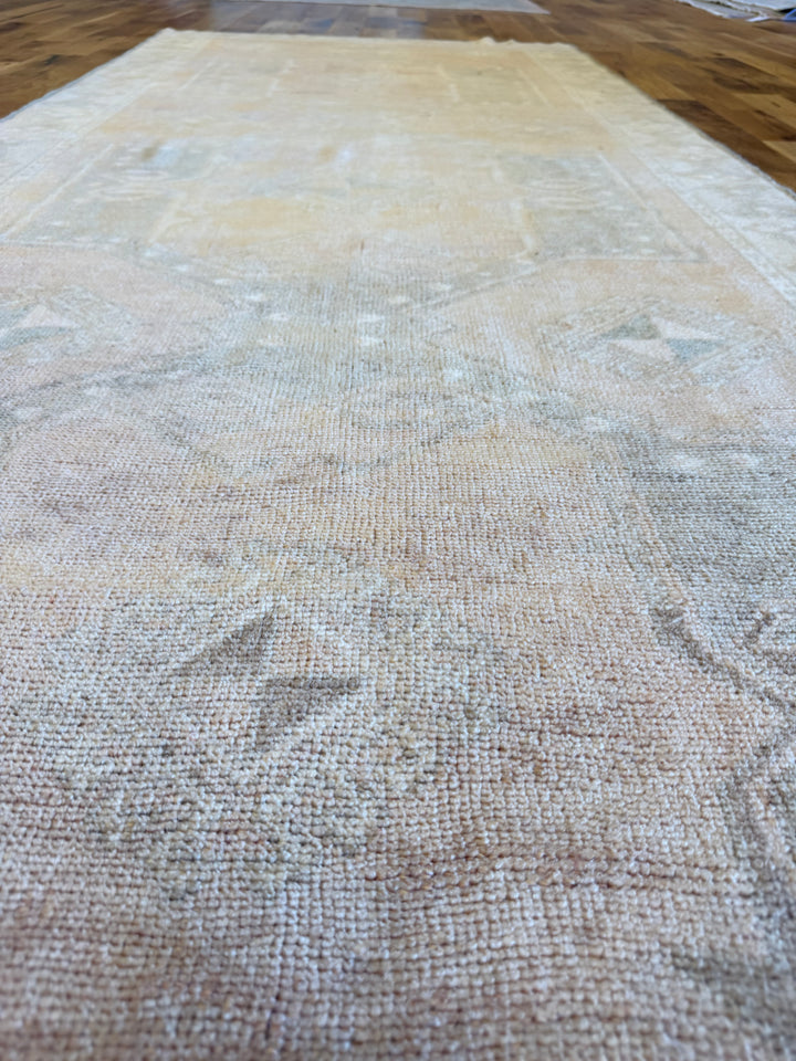Anatolian Runner 3.8x9.7 - LillieKat Rugs