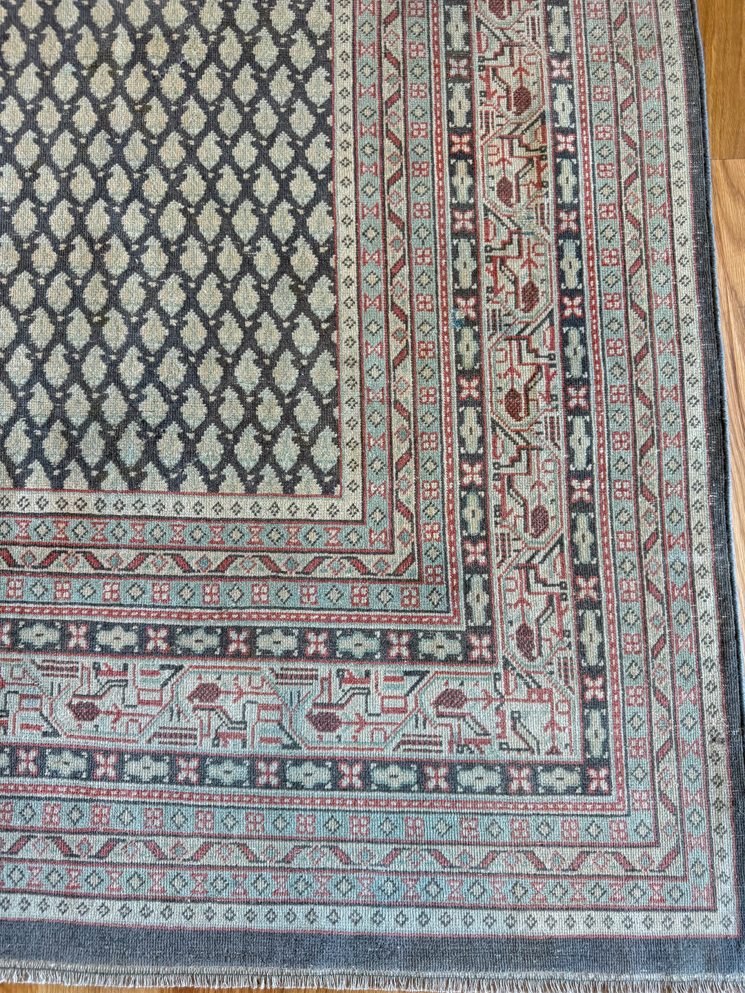 Mir (Persian) 8.2x9.6