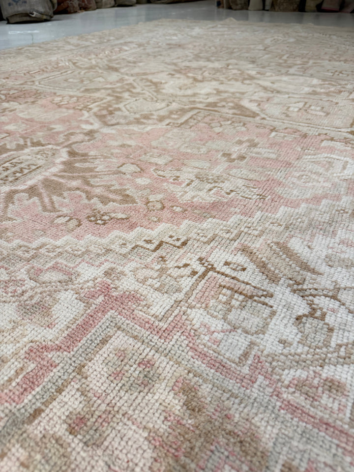 Anatolian 8.0x11.0 - LillieKat Rugs